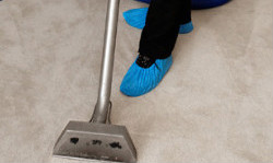 Carpet Cleaning Whetstone