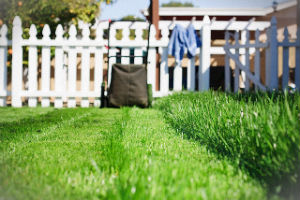 grass-cutting-services-whetstone