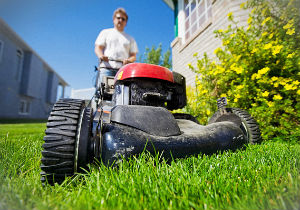 grass-cutting-whetstone