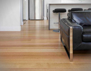 hard-floor-cleaning-polishing-whetstone